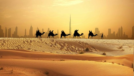 Dubai Desert Safari - Morning Safaris